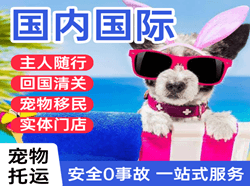 甘南夏河空运地址国际宠物托运 【国